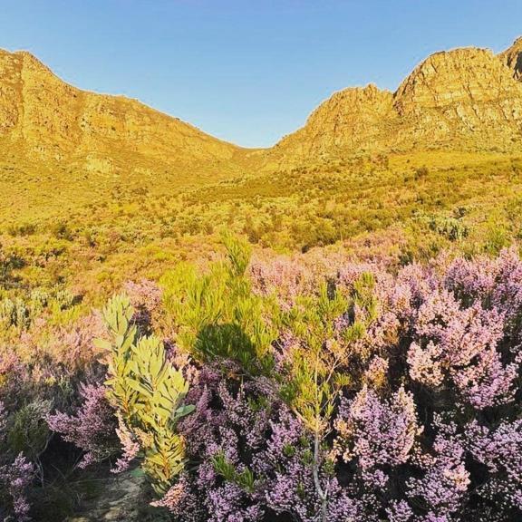Villa Oude Compagnies Post Tulbagh Esterno foto